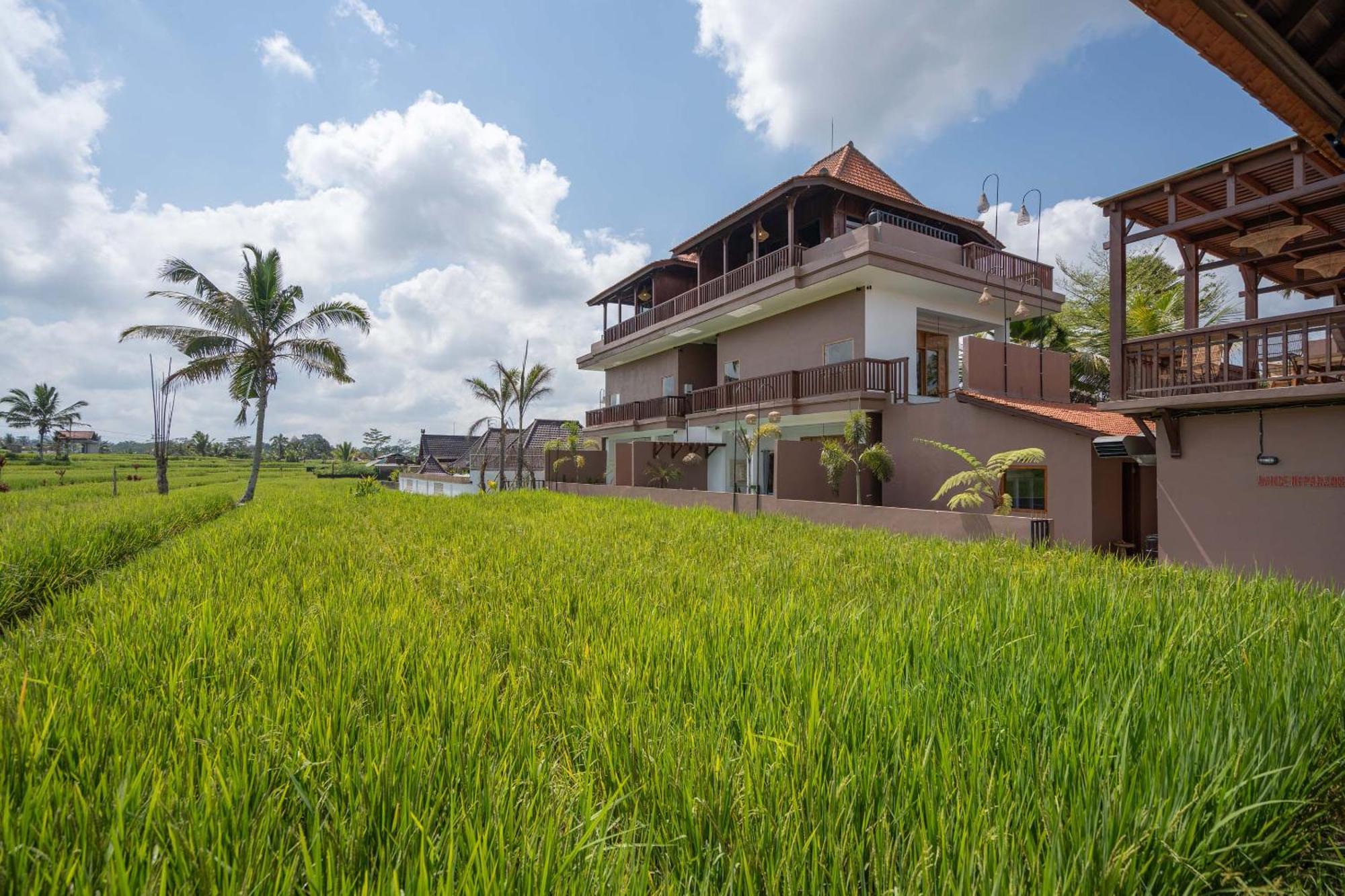 Barong Bali Resort Ubud Eksteriør bilde
